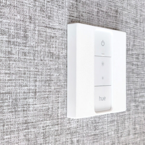 Philips Hue Dimmer V2 Slimline Blanking Plate / Wall Mount