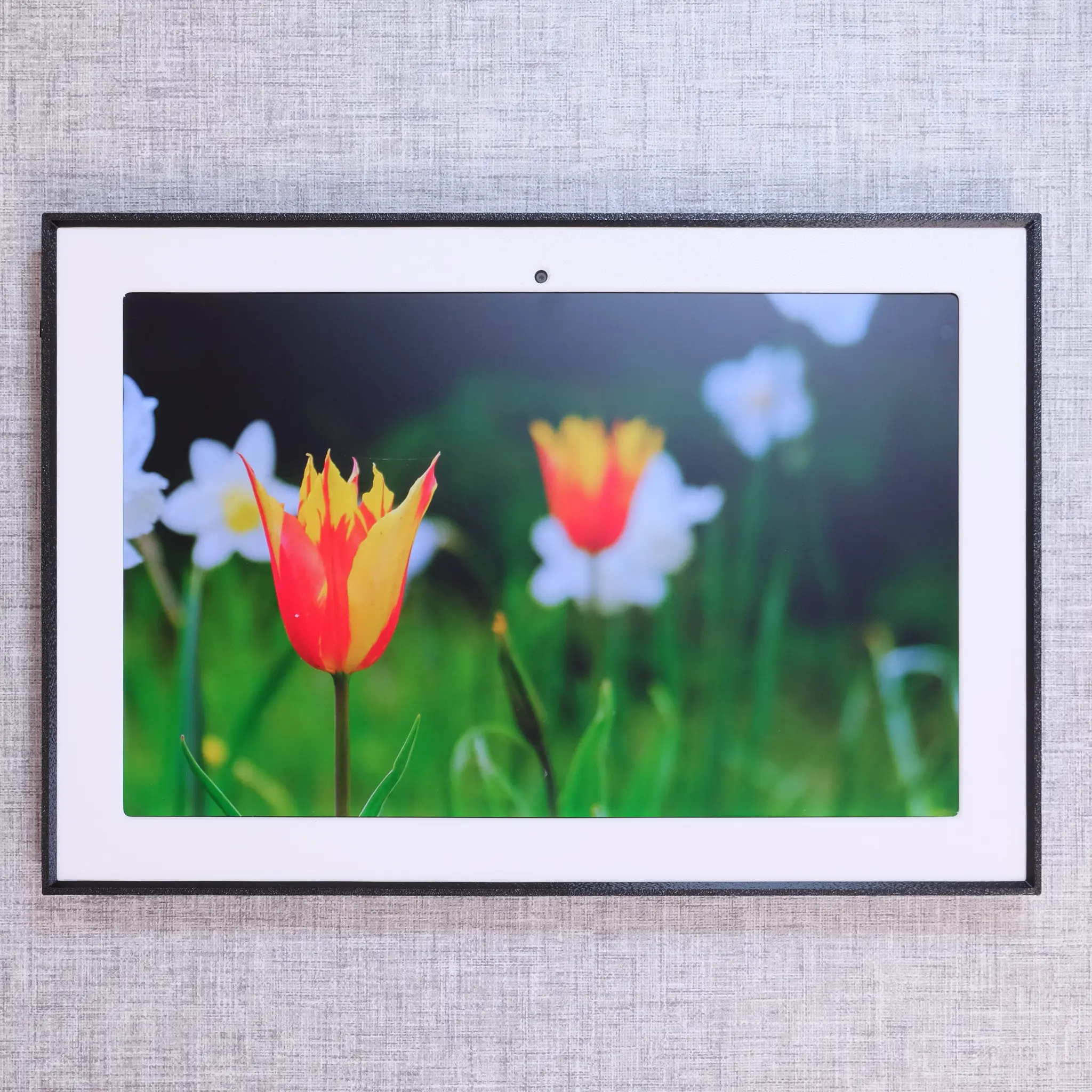 Lenovo P12 Picture Frame Style Wall Mount